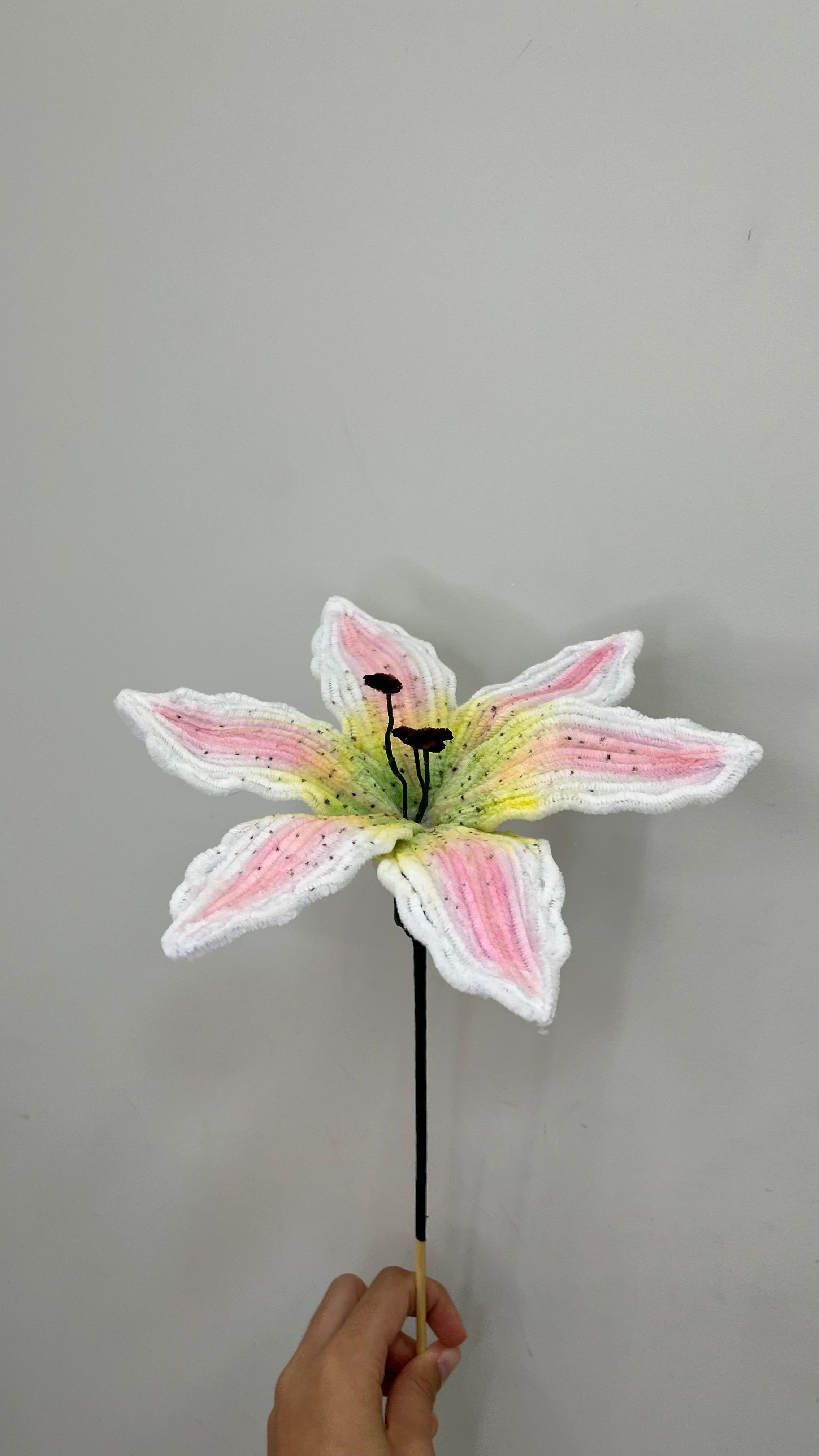 Lírio Oriental PipeFlorYou